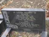 image of grave number 199213